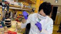 A researcher working with samples in the Aydogan Lab